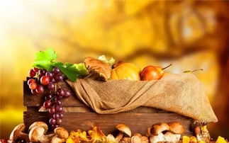 秋季養生家中必備食材10大排行榜，中醫養生保健服務指南